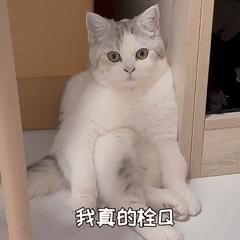 DƬ